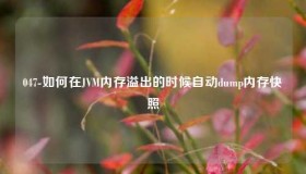 048-如何在JVM内存溢出的时候自动dump内存快照