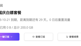 限时白嫖机场