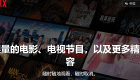  国内如何看Netflix