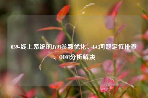 059-线上系统的JVM参数优化、GC问题定位排查、OOM分析解决