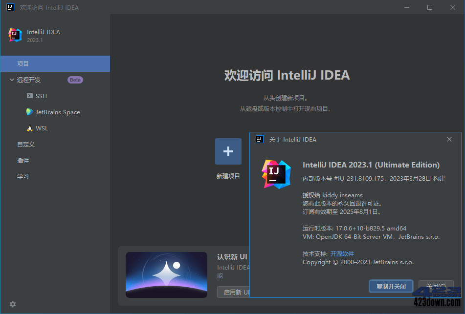 IntelliJ IDEA 2023.1.0 IDEA2023中文激活版