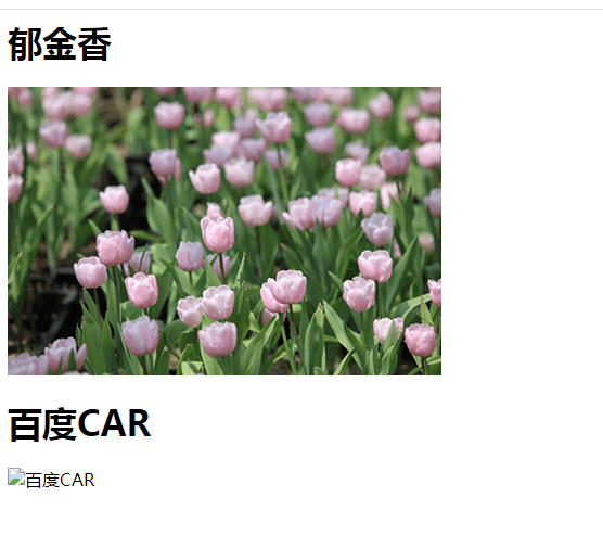 Nginx防盗链