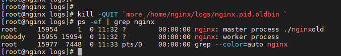 Nginx基本概念